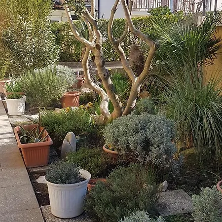 Vila Alda 3*